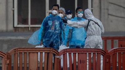 El hantavirus no muestra signos de mutar para hacerse más contagioso El hantavirus no muestra signos de mutar para hacerse más contagioso