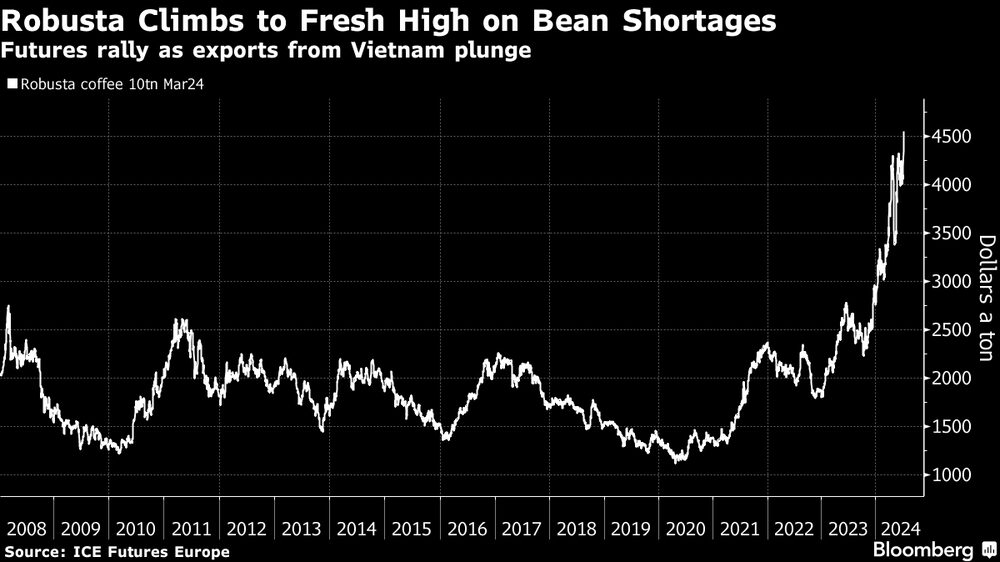 El Robusta alcanza un nuevo máximo por la escasez de granos. El Robusta alcanza un nuevo máximo por la escasez de granos.