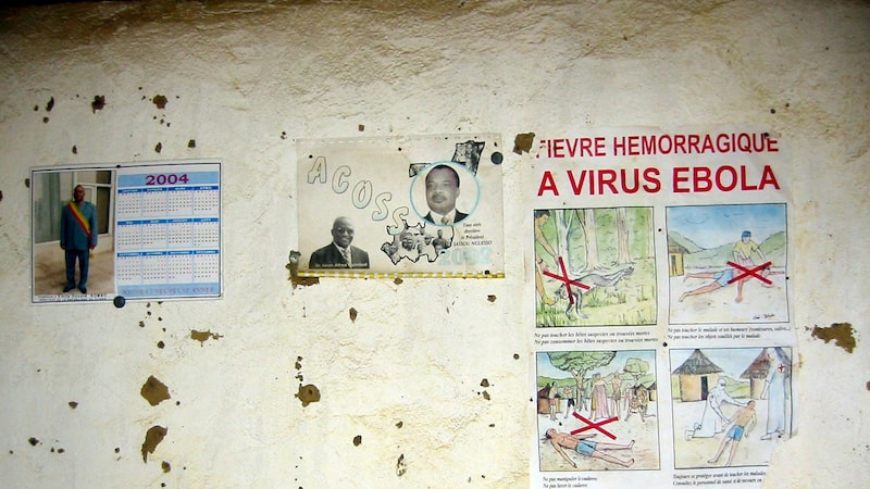 Surto de ebola no Congo sugere cepa mais virulenta Surto de ebola no Congo sugere cepa mais virulenta
