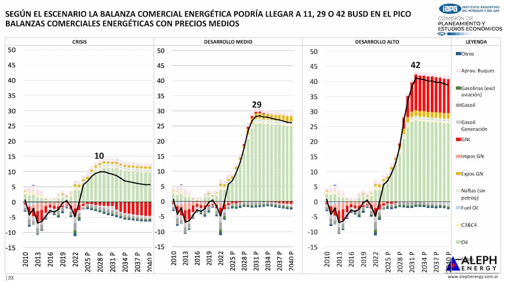 vaca muerta vaca muerta