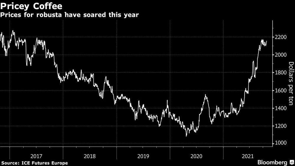Café caro
Los precios del robusta se han disparado este año Café caro
Los precios del robusta se han disparado este año