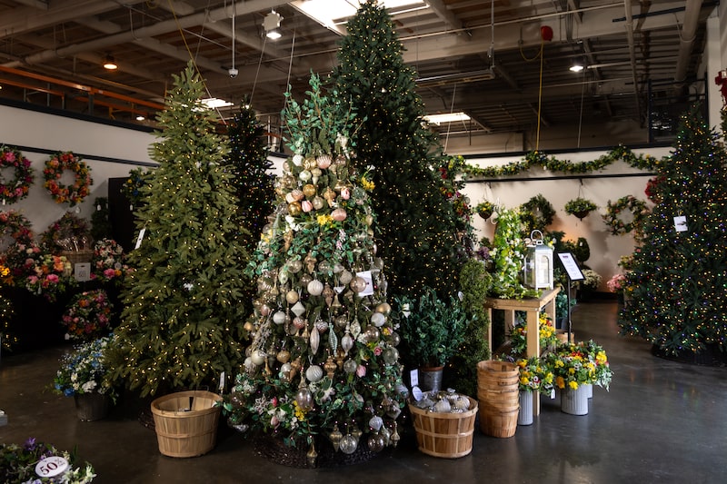 0G6A5732.jpg 0G6A5732.jpg