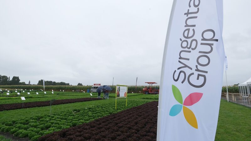 Syngenta estuda IPO em Hong Kong após cancelar listagem em Xangai, dizem fontes Syngenta estuda IPO em Hong Kong após cancelar listagem em Xangai, dizem fontes