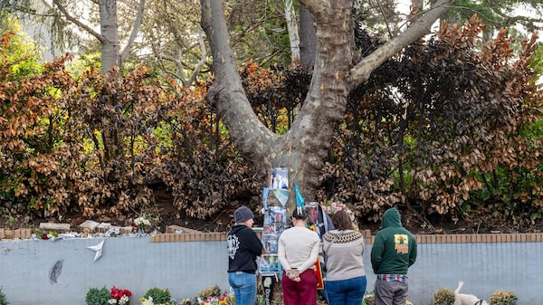 Demandan a Tesla tras la muerte de conductor que no pudo abrir las puertas en un accidente Demandan a Tesla tras la muerte de conductor que no pudo abrir las puertas en un accidente