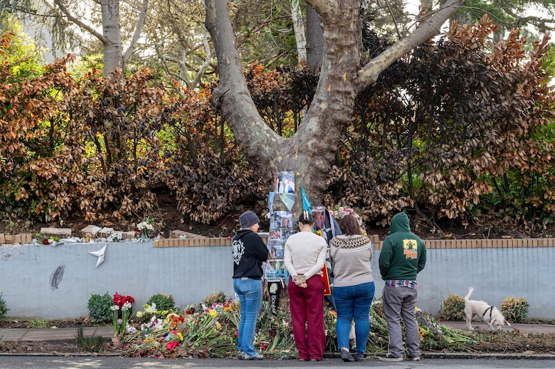 Un memorial en memoria de tres estudiantes universitarios que fallecieron en un accidente con un Cybertruck en Piedmont, California. Un memorial en memoria de tres estudiantes universitarios que fallecieron en un accidente con un Cybertruck en Piedmont, California.