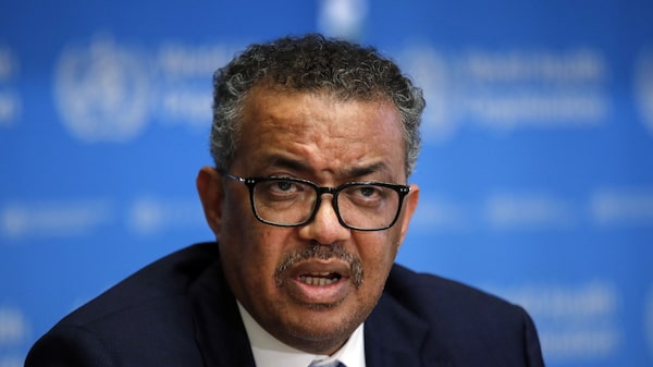 Israel y la OMS intercambian acusaciones sobre los depósitos de insumos médicos de Gaza Israel y la OMS intercambian acusaciones sobre los depósitos de insumos médicos de Gaza