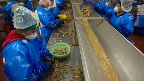 Visas de trabajo no agrícola temporales en EE.UU.: Guatemala busca ocupar plazas Visas de trabajo no agrícola temporales en EE.UU.: Guatemala busca ocupar plazas