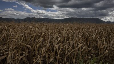 Presidente del BBVA destacó 6 sectores para impulsar PIB de Colombia Presidente del BBVA destacó 6 sectores para impulsar PIB de Colombia