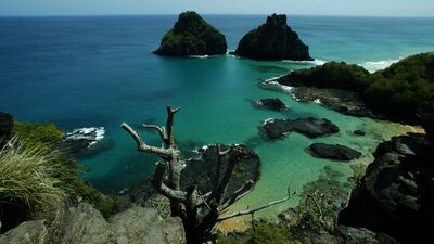 Gol promete emissão neutra de carbono em voos para Noronha Gol promete emissão neutra de carbono em voos para Noronha