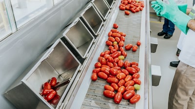 Ketchup made in Brazil: como a Kraft Heinz alcançou autossuficiência em tomate no país Ketchup made in Brazil: como a Kraft Heinz alcançou autossuficiência em tomate no país