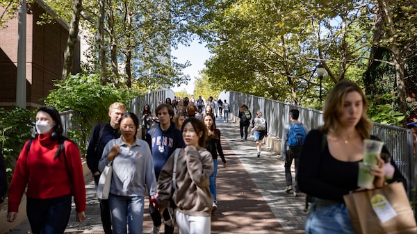 Fiebre por la IA impulsa el negocio de cursos ejecutivos en universidades de élite de EE.UU. Fiebre por la IA impulsa el negocio de cursos ejecutivos en universidades de élite de EE.UU.