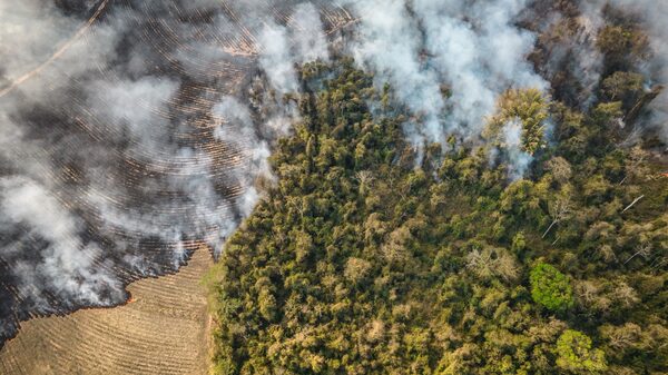 The Country That Makes Breakfast for the World Is Plagued by Fire, Frost and Drought The Country That Makes Breakfast for the World Is Plagued by Fire, Frost and Drought