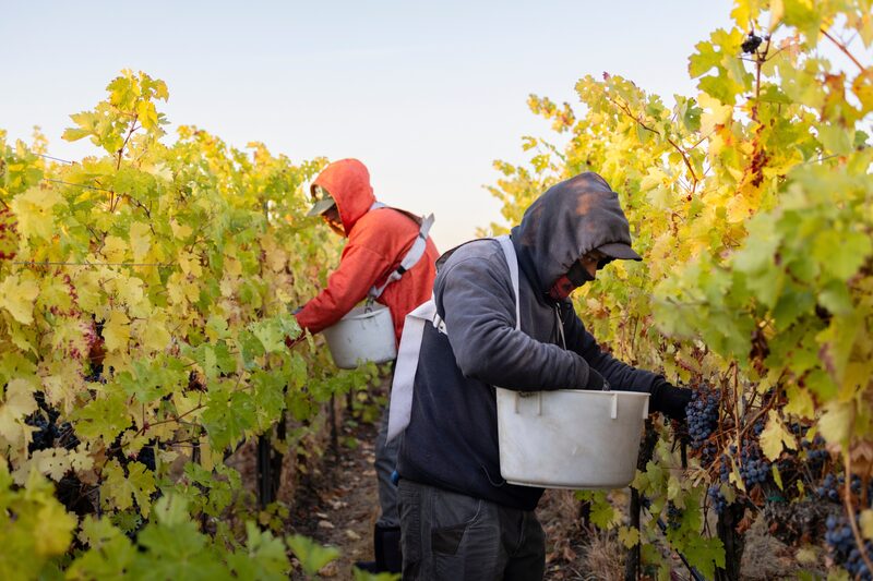 Trump ha intensificado las deportaciones masivas de inmigrantes que entraron ilegalmente a EE.UU. Trump ha intensificado las deportaciones masivas de inmigrantes que entraron ilegalmente a EE.UU.