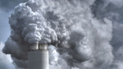 Como funciona o mercado de carbono no Brasil e por que você precisa saber disso Como funciona o mercado de carbono no Brasil e por que você precisa saber disso
