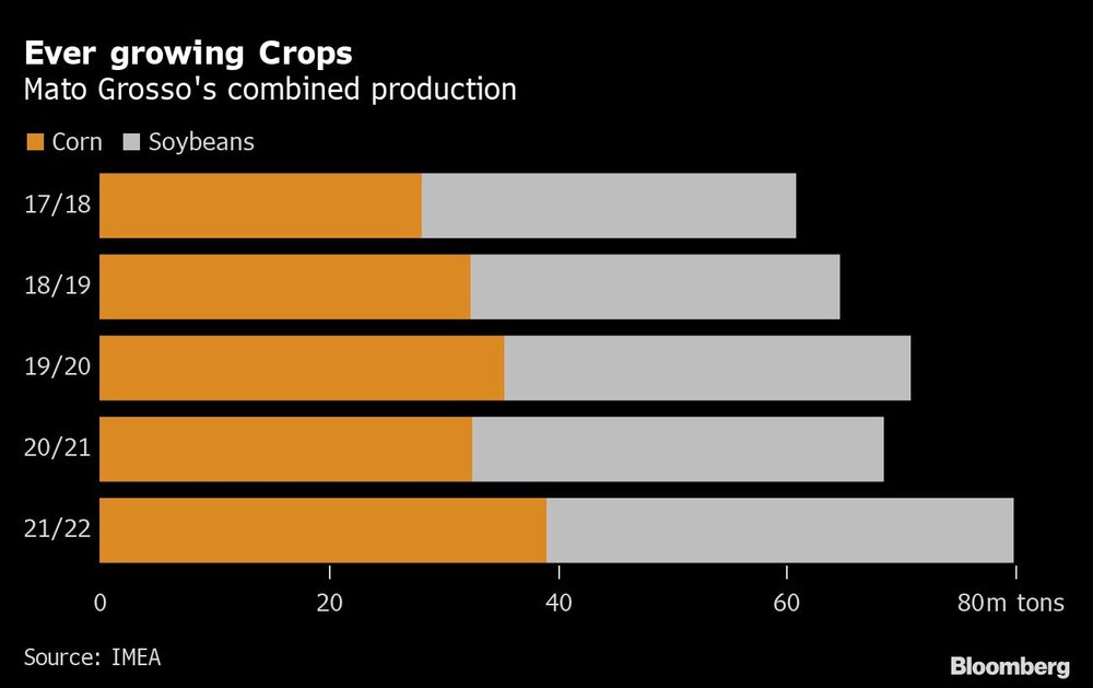 Cultivos brasileros Cultivos brasileros