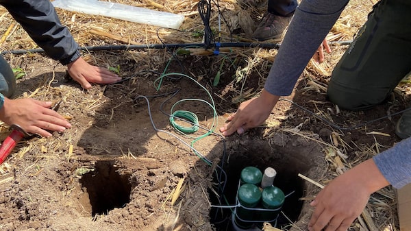 El sensor de humedad del suelo que busca acelerar la digitalización del agro El sensor de humedad del suelo que busca acelerar la digitalización del agro