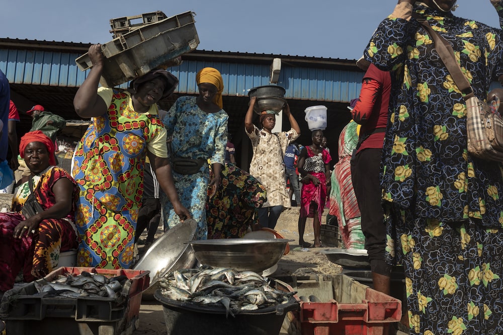 Unos trabajadores venden sardinas frescas en un puerto de Joal-Fadiouth, Senegal, el 20 de octubre de 2025. Unos trabajadores venden sardinas frescas en un puerto de Joal-Fadiouth, Senegal, el 20 de octubre de 2025.