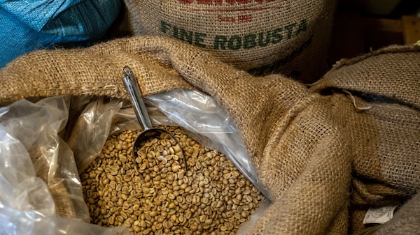 Flujos comerciales del café se ven alterados por caos del transporte marítimo Flujos comerciales del café se ven alterados por caos del transporte marítimo