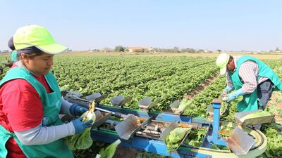 Colombianos y venezolanos, los latinoamericanos que más cotizan en España: ¿cuál es el impacto? Colombianos y venezolanos, los latinoamericanos que más cotizan en España: ¿cuál es el impacto?