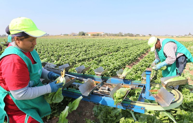 En la foto, dos migrantes latinoamericanos en Murcia (España). En la foto, dos migrantes latinoamericanos en Murcia (España).
