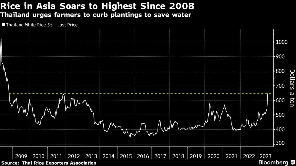 Tailandia urge a sus agricultores a reducir las plantaciones para ahorrar agua Tailandia urge a sus agricultores a reducir las plantaciones para ahorrar agua