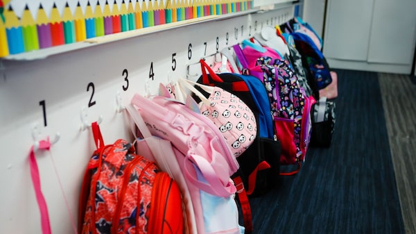 ANSES: Estas son las fechas de cobro para las Becas Progresar en abril ANSES: Estas son las fechas de cobro para las Becas Progresar en abril