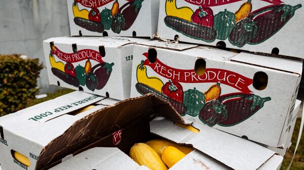 EE.UU. ajusta pago de beneficios alimentarios y entregará dos tercios de la ayuda habitual EE.UU. ajusta pago de beneficios alimentarios y entregará dos tercios de la ayuda habitual