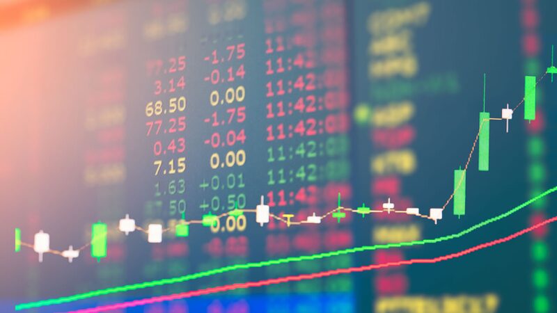 Crédito: (Shutterstock) Crédito: (Shutterstock)