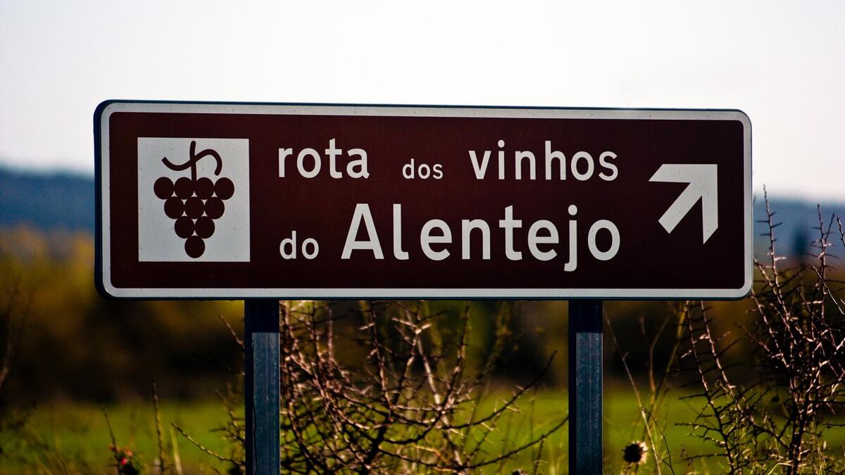 Enoturismo como atração: o plano do Alentejo para atrair 1 milhão de visitantes