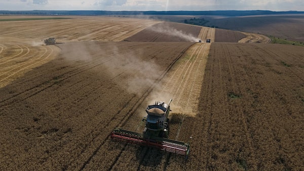 Precios mundiales de alimentos registran la mayor caída desde 2008 Precios mundiales de alimentos registran la mayor caída desde 2008