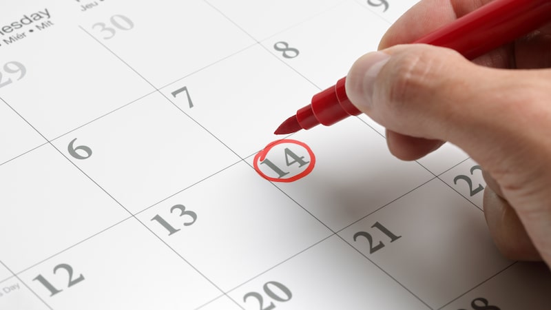 ¿Cuándo hay más disponibilidad en el portal del SAT para presentar la Declaración Anual 2026? ¿Cuándo hay más disponibilidad en el portal del SAT para presentar la Declaración Anual 2026?