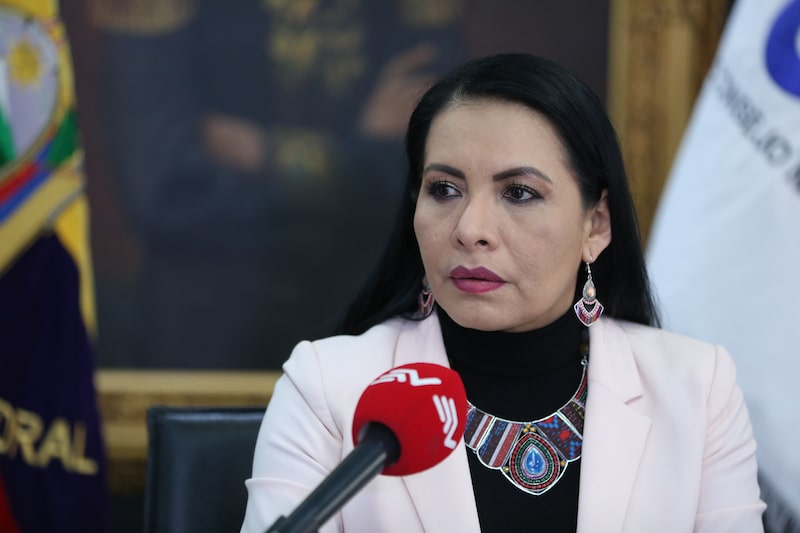 La presidenta del CNE de Ecuador, Diana Atamaint. La presidenta del CNE de Ecuador, Diana Atamaint.