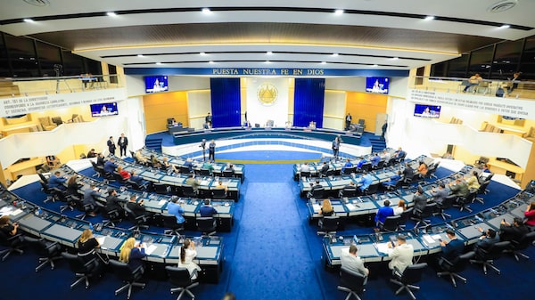 El Salvador reforma su Constitución para darle representación legislativa a la diáspora El Salvador reforma su Constitución para darle representación legislativa a la diáspora