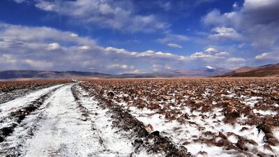Rio Tinto to Pursue Argentine Lithium Project Investment Despite Rising Costs Rio Tinto to Pursue Argentine Lithium Project Investment Despite Rising Costs