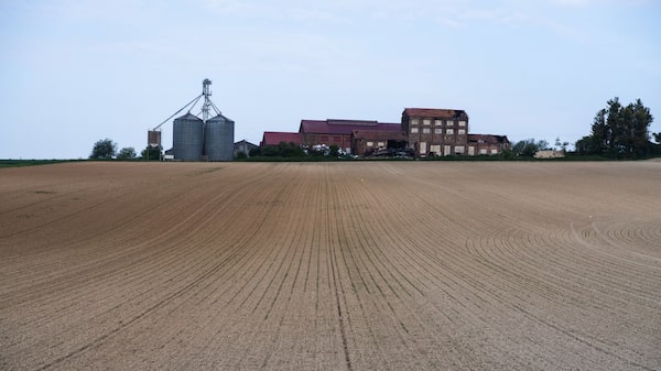 Francia forma una unidad de emergencia para afrontar la peor sequía de la historia Francia forma una unidad de emergencia para afrontar la peor sequía de la historia