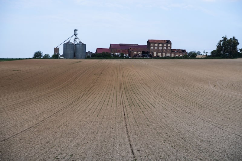 Sequía francesa Sequía francesa