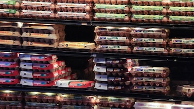 Ovo deixa de ser vilão da inflação nos EUA. Agora excesso de oferta aperta produtores Ovo deixa de ser vilão da inflação nos EUA. Agora excesso de oferta aperta produtores