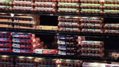 Ovo deixa de ser vilão da inflação nos EUA. Agora excesso de oferta aperta produtores Ovo deixa de ser vilão da inflação nos EUA. Agora excesso de oferta aperta produtores