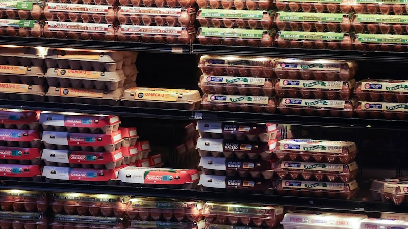 Ovo deixa de ser vilão da inflação nos EUA. Agora excesso de oferta aperta produtores Ovo deixa de ser vilão da inflação nos EUA. Agora excesso de oferta aperta produtores