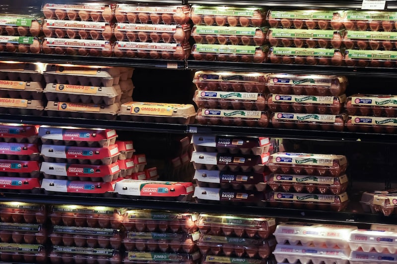 A Cal-Maine Foods, maior produtora americana do setor, registrou queda de 28% nas vendas trimestrais. Com plantéis em expansão e gripe aviária ainda circulando, o mercado deve seguir pressionado por meses. Reequilibrar a oferta leva até 18 meses, dizem especialistas (Foto: Michael Nagle/Bloomberg) A Cal-Maine Foods, maior produtora americana do setor, registrou queda de 28% nas vendas trimestrais. Com plantéis em expansão e gripe aviária ainda circulando, o mercado deve seguir pressionado por meses. Reequilibrar a oferta leva até 18 meses, dizem especialistas (Foto: Michael Nagle/Bloomberg)