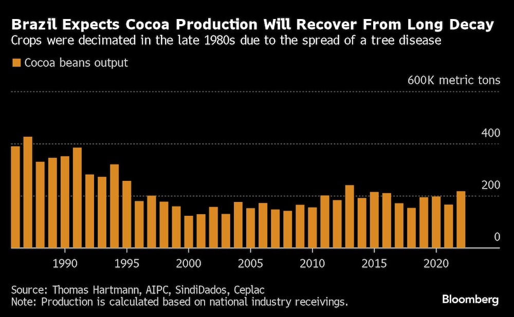 Brazil Expects Cocoa Production Will Recover From Long Decay | Crops were decimated in the late 1980s due to the spread of a tree disease Brazil Expects Cocoa Production Will Recover From Long Decay | Crops were decimated in the late 1980s due to the spread of a tree disease
