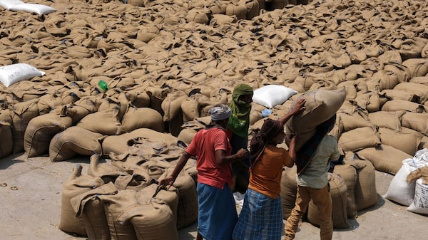 Agencias presentan plan de acción mundial para abordar crisis alimentaria Agencias presentan plan de acción mundial para abordar crisis alimentaria