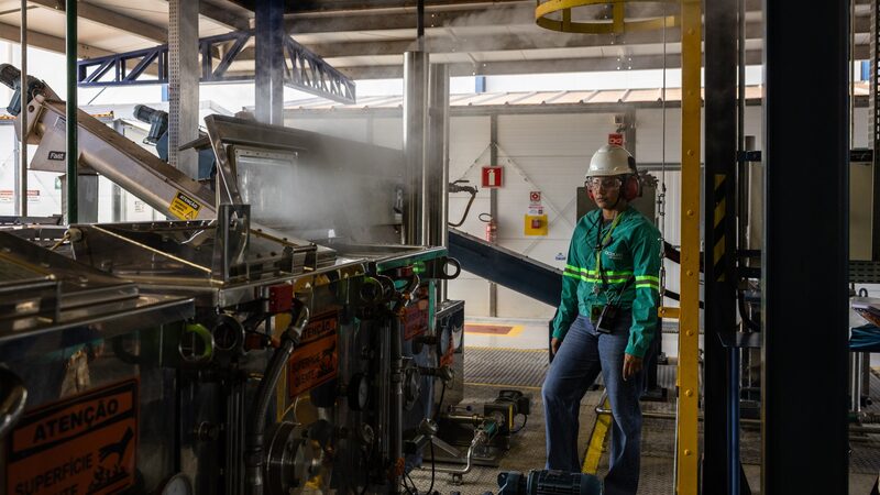 Projeto de US$ 3 bi da Mubadala aposta na macaúba ampliar produção de SAF no Brasil Projeto de US$ 3 bi da Mubadala aposta na macaúba ampliar produção de SAF no Brasil
