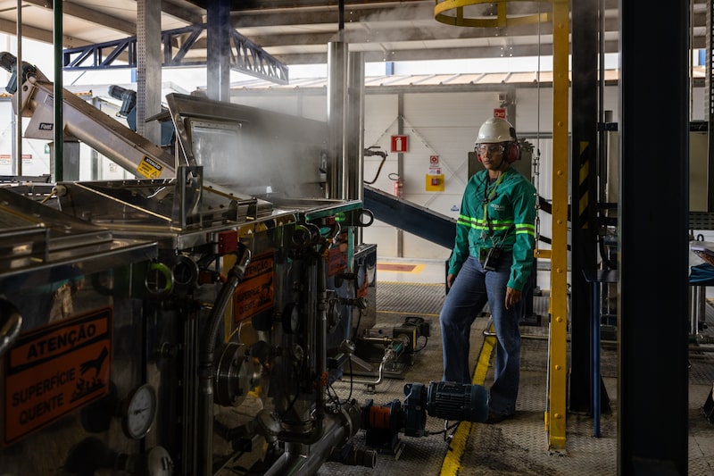Acelen Renováveis pretende iniciar o processamento do óleo da macaúba em uma biorrefinaria na Bahia (Foto: Maira Erlich/Bloomberg) Acelen Renováveis pretende iniciar o processamento do óleo da macaúba em uma biorrefinaria na Bahia (Foto: Maira Erlich/Bloomberg)
