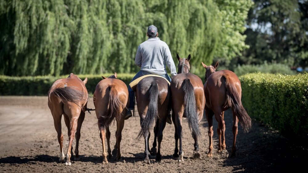 Foto: AAP. Foto: AAP.