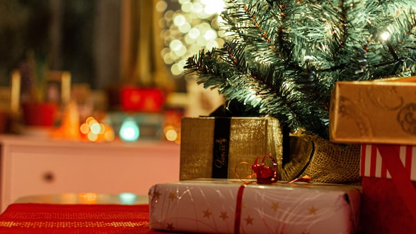 Navidad 2022 en Argentina será la más cara en décadas: ¿cuánto cuesta armar un arbolito? Navidad 2022 en Argentina será la más cara en décadas: ¿cuánto cuesta armar un arbolito?