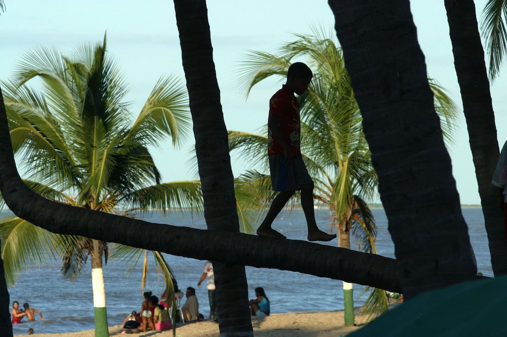 Un niño camina sobre una palmera inclinada en la playa de Riohacha, en la costa caribeña de Colombia, el domingo 11 de diciembre de 2005. Un niño camina sobre una palmera inclinada en la playa de Riohacha, en la costa caribeña de Colombia, el domingo 11 de diciembre de 2005.