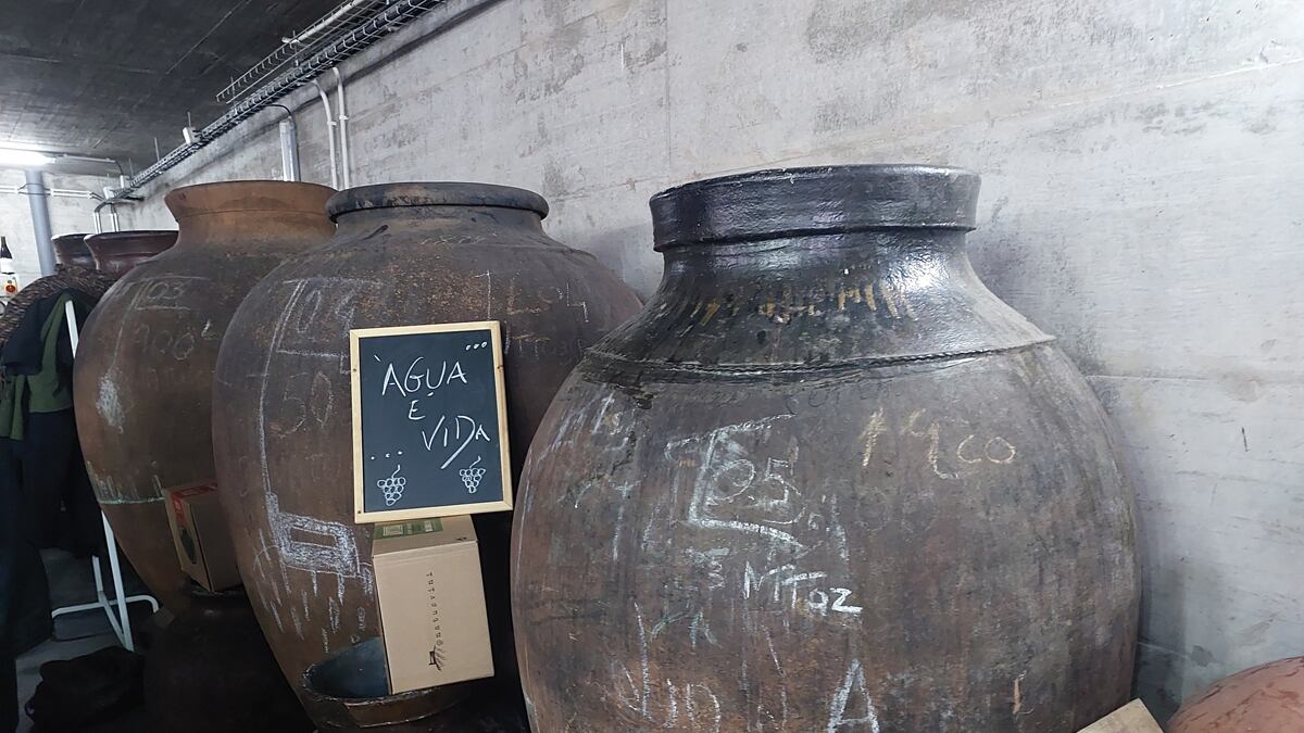Talhas de barro usadas na produção de vinhos naturais na vinícola Natus