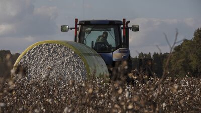 Nos EUA, crise da indústria têxtil centenária pressiona os produtores de algodão Nos EUA, crise da indústria têxtil centenária pressiona os produtores de algodão