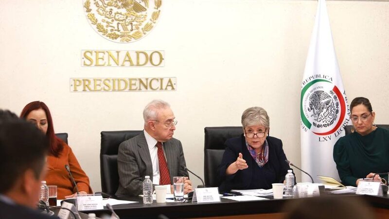 La canciller de México, Alicia Bárcena, compareció ante la Comisión de Relaciones Exteriores previo a su ratificación en el cargo en el Pleno del Senado. (Cortesía: SRE) La canciller de México, Alicia Bárcena, compareció ante la Comisión de Relaciones Exteriores previo a su ratificación en el cargo en el Pleno del Senado. (Cortesía: SRE)